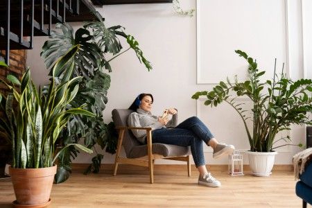 Como decorar com plantas? D um toque natural a sua casa